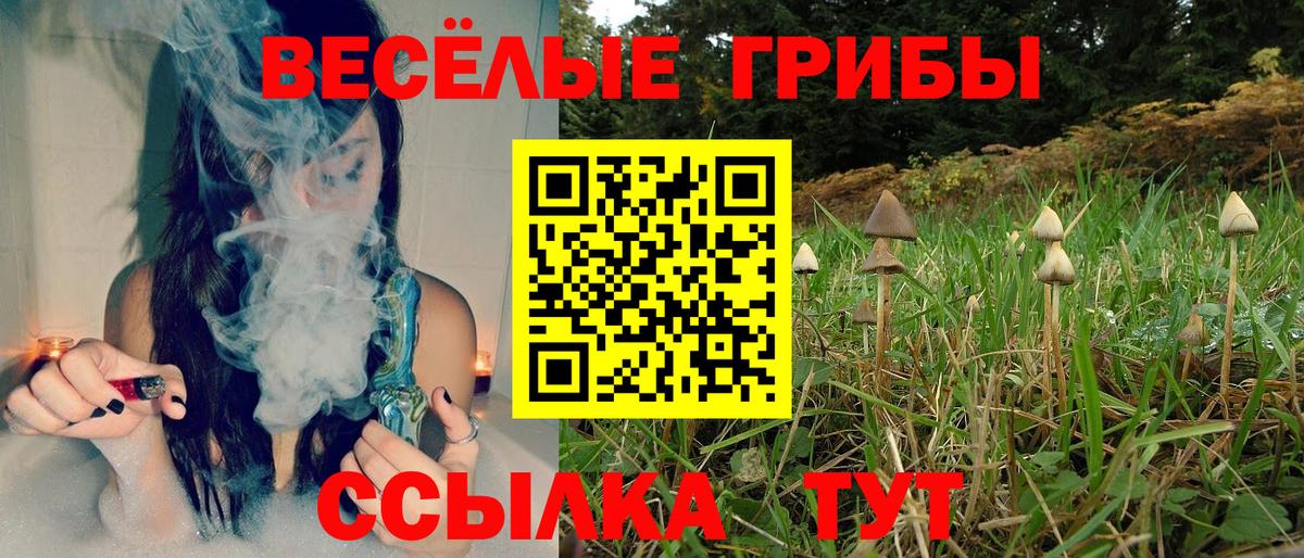 Звенигород  Галлюциногенные грибы ЛСД  Псилоцибиновые грибы Magic Shrooms  Вход с VPN 